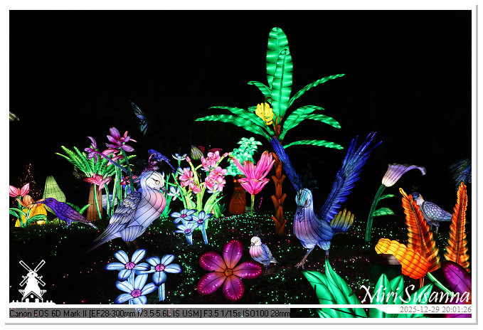 Beekse Bergen Light Safari 2025 IMG_4761