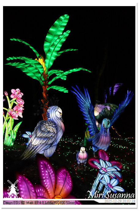 Beekse Bergen Light Safari 2025 IMG_4764