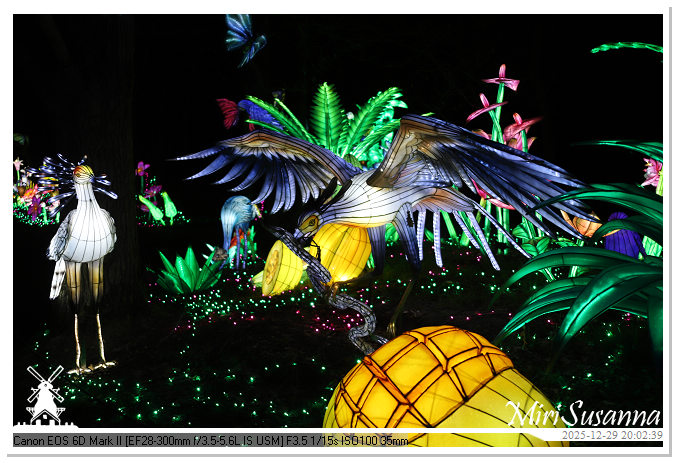 Beekse Bergen Light Safari 2025 IMG_4765