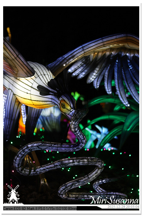 Beekse Bergen Light Safari 2025 IMG_4767