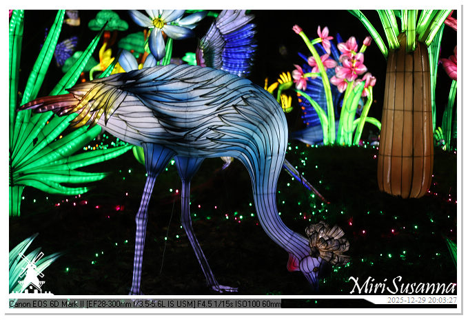 Beekse Bergen Light Safari 2025 IMG_4768