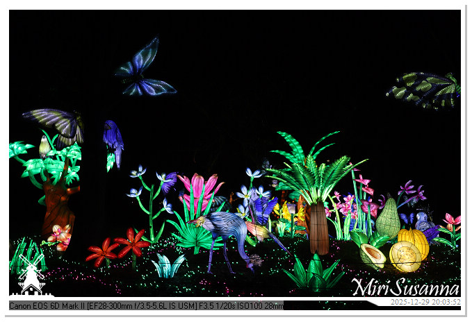 Beekse Bergen Light Safari 2025 IMG_4769