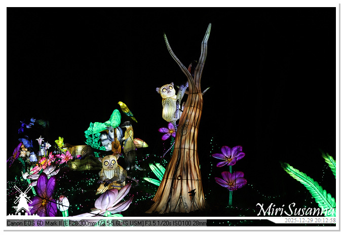 Beekse Bergen Light Safari 2025 IMG_4773