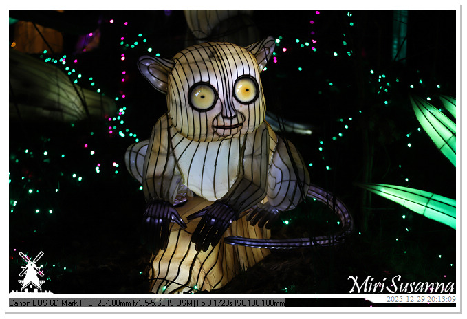 Beekse Bergen Light Safari 2025 IMG_4774