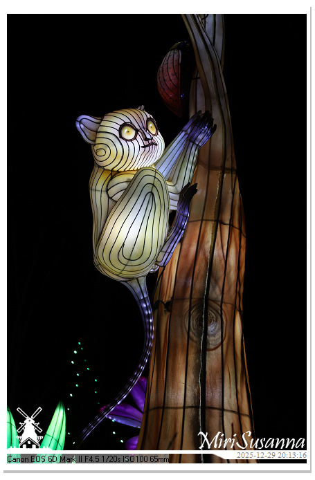 Beekse Bergen Light Safari 2025 IMG_4775