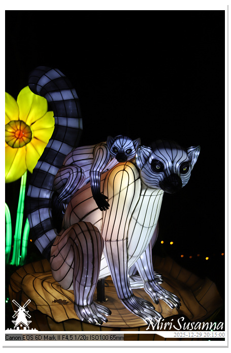 Beekse Bergen Light Safari 2025 IMG_4782