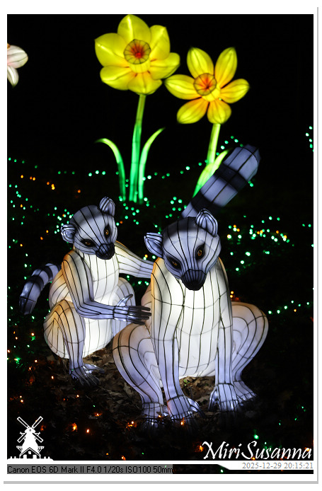 Beekse Bergen Light Safari 2025 IMG_4784