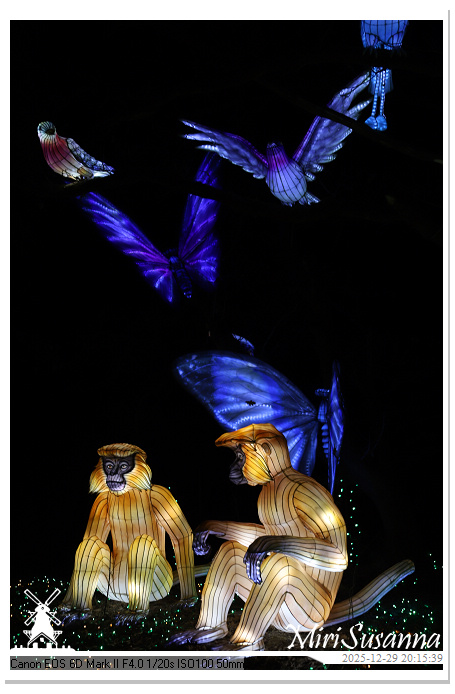 Beekse Bergen Light Safari 2025 IMG_4786