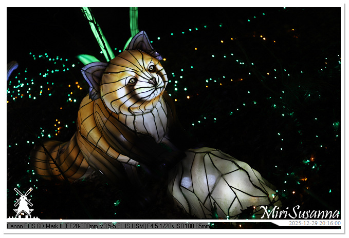 Beekse Bergen Light Safari 2025 IMG_4787