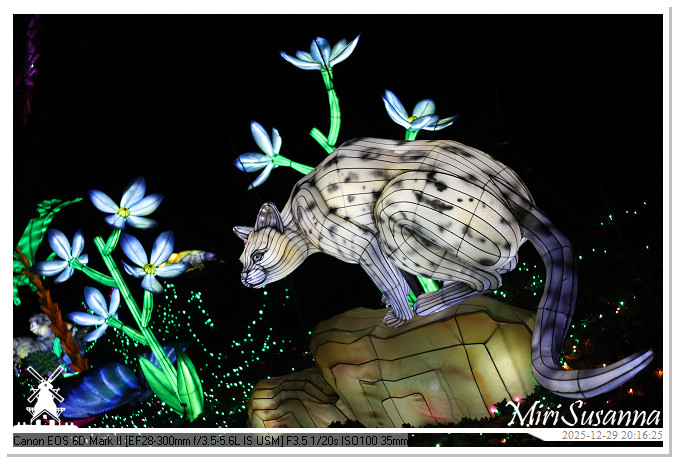 Beekse Bergen Light Safari 2025 IMG_4788