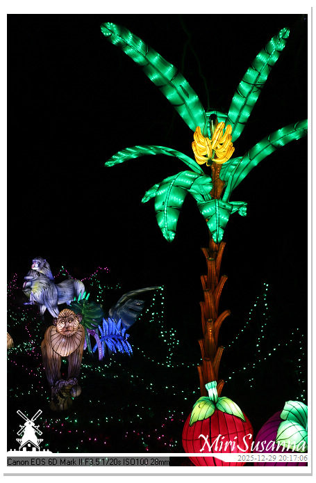 Beekse Bergen Light Safari 2025 IMG_4791