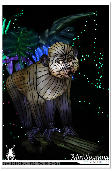 Beekse Bergen Light Safari 2025 IMG_4792