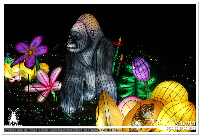 Beekse Bergen Light Safari 2025 IMG_4796