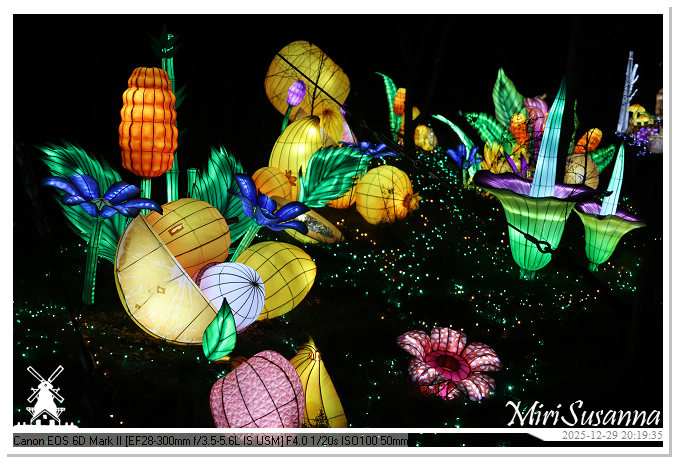 Beekse Bergen Light Safari 2025 IMG_4797