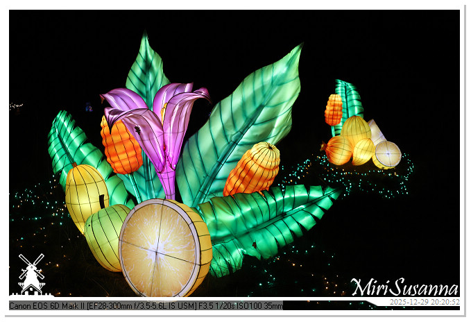 Beekse Bergen Light Safari 2025 IMG_4801