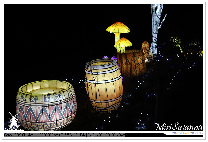 Beekse Bergen Light Safari 2025 IMG_4804