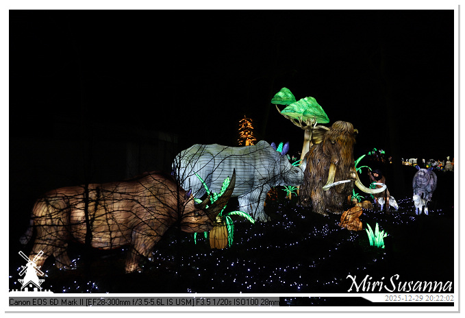 Beekse Bergen Light Safari 2025 IMG_4806