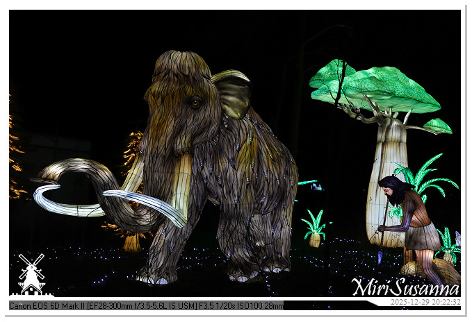 Beekse Bergen Light Safari 2025 IMG_4808