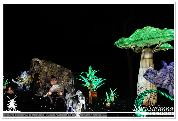 Beekse Bergen Light Safari 2025 IMG_4810