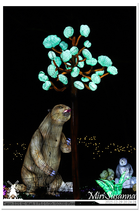 Beekse Bergen Light Safari 2025 IMG_4814