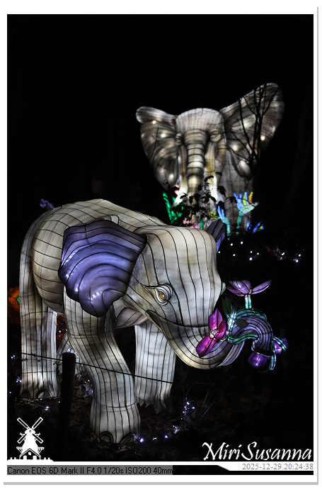 Beekse Bergen Light Safari 2025 IMG_4815