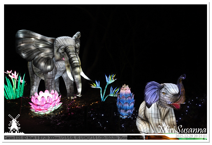 Beekse Bergen Light Safari 2025 IMG_4816