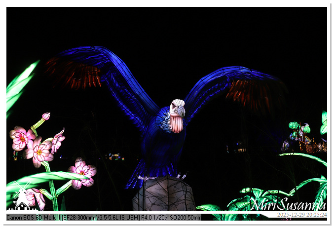 Beekse Bergen Light Safari 2025 IMG_4817