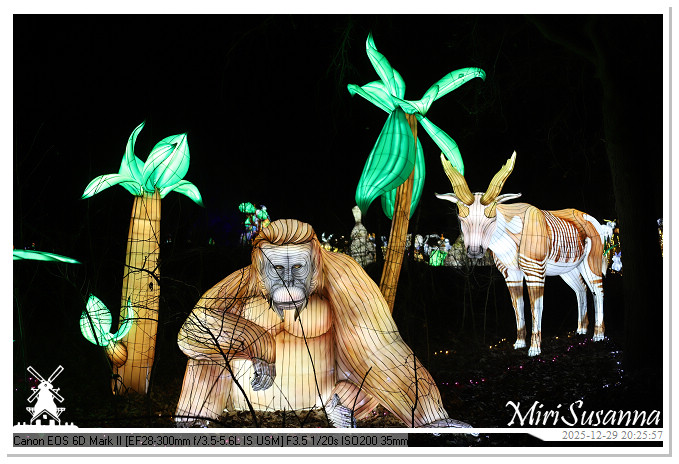 Beekse Bergen Light Safari 2025 IMG_4819