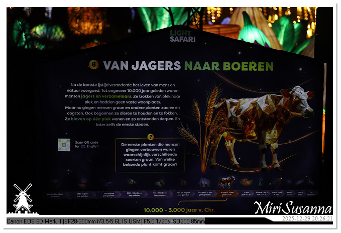 Beekse Bergen Light Safari 2025 IMG_4820