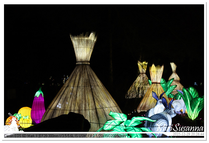 Beekse Bergen Light Safari 2025 IMG_4821