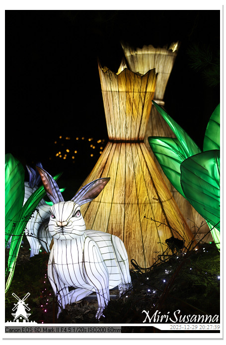 Beekse Bergen Light Safari 2025 IMG_4824