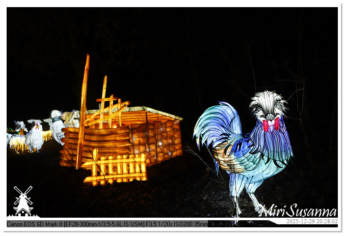 Beekse Bergen Light Safari 2025 IMG_4825