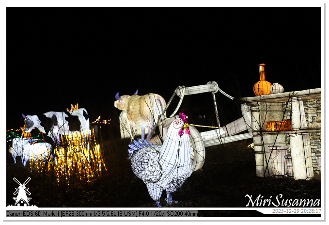 Beekse Bergen Light Safari 2025 IMG_4826