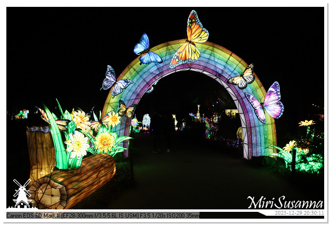 Beekse Bergen Light Safari 2025 IMG_4833