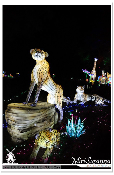 Beekse Bergen Light Safari 2025 IMG_4844