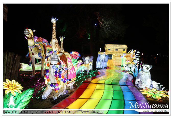 Beekse Bergen Light Safari 2025 IMG_4847