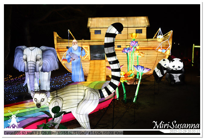 Beekse Bergen Light Safari 2025 IMG_4851