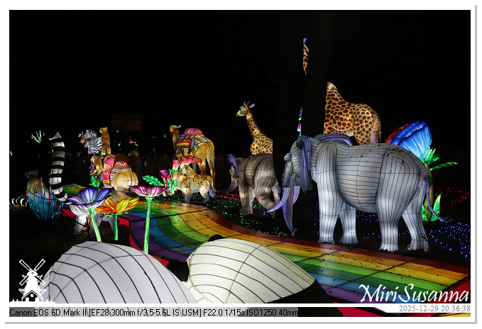 Beekse Bergen Light Safari 2025 IMG_4855