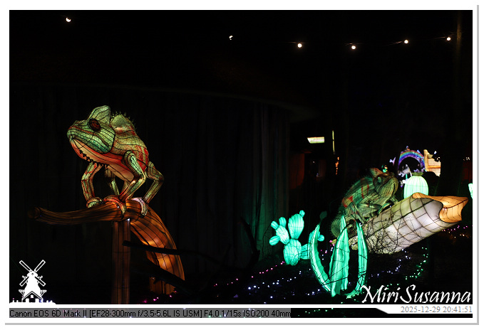 Beekse Bergen Light Safari 2025 IMG_4860