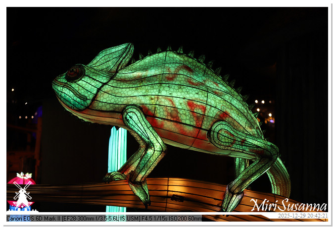 Beekse Bergen Light Safari 2025 IMG_4863