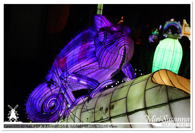 Beekse Bergen Light Safari 2025 IMG_4864