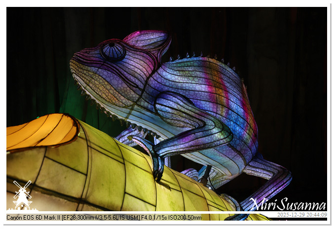 Beekse Bergen Light Safari 2025 IMG_4865