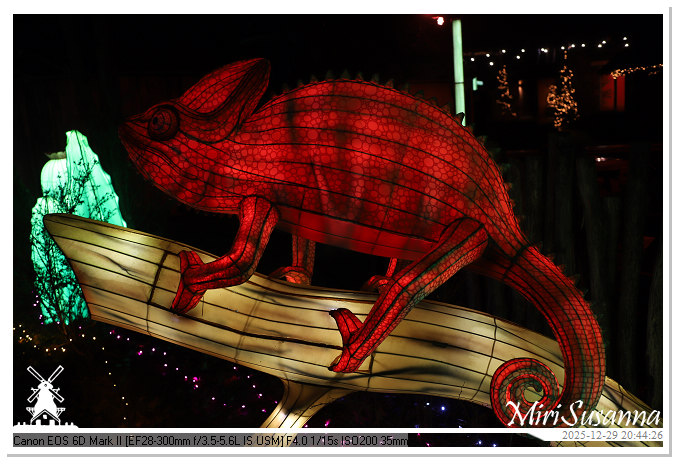 Beekse Bergen Light Safari 2025 IMG_4866