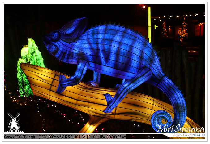 Beekse Bergen Light Safari 2025 IMG_4867