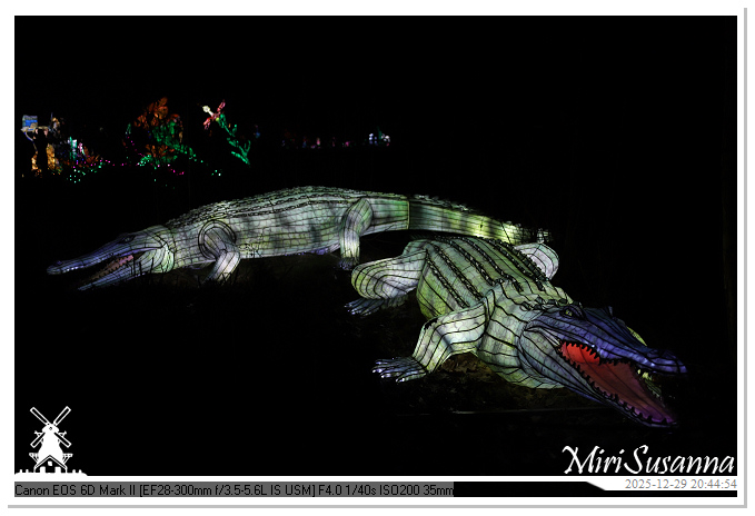 Beekse Bergen Light Safari 2025 IMG_4869