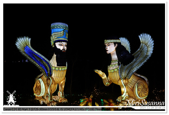 Beekse Bergen Light Safari 2025 IMG_4873