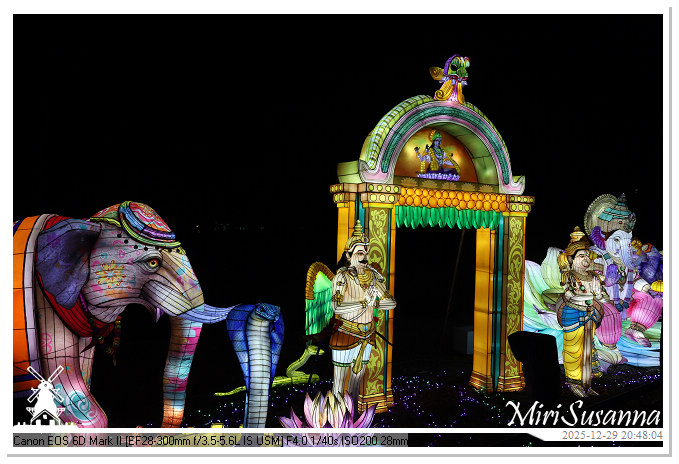 Beekse Bergen Light Safari 2025 IMG_4878