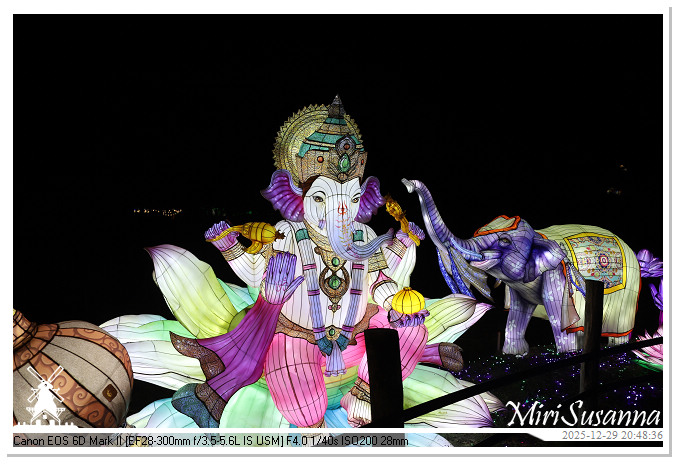 Beekse Bergen Light Safari 2025 IMG_4881