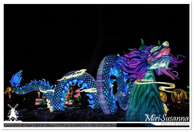 Beekse Bergen Light Safari 2025 IMG_4884