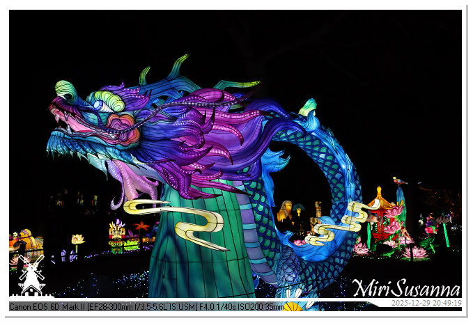 Beekse Bergen Light Safari 2025 IMG_4885